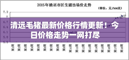 清远毛猪最新价格行情更新！今日价格走势一网打尽