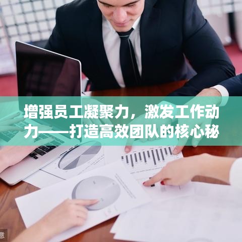 增强员工凝聚力，激发工作动力——打造高效团队的核心秘诀！