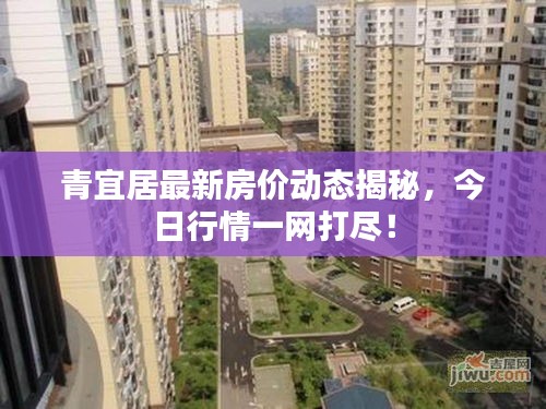 青宜居最新房价动态揭秘，今日行情一网打尽！