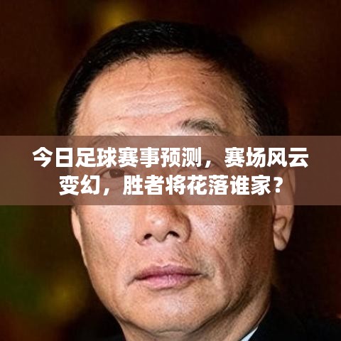 今日足球赛事预测，赛场风云变幻，胜者将花落谁家？