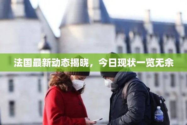 法国最新动态揭晓，今日现状一览无余