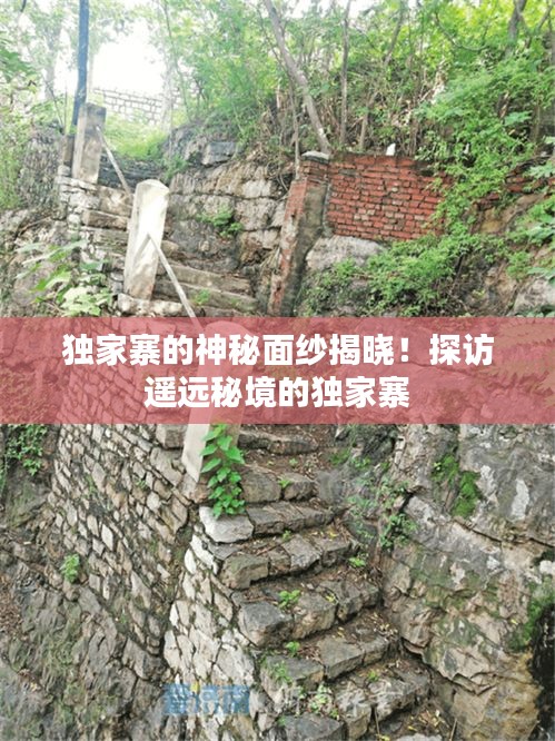独家寨的神秘面纱揭晓！探访遥远秘境的独家寨