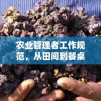 回眸最初 第2页
