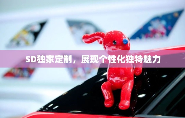 SD独家定制，展现个性化独特魅力
