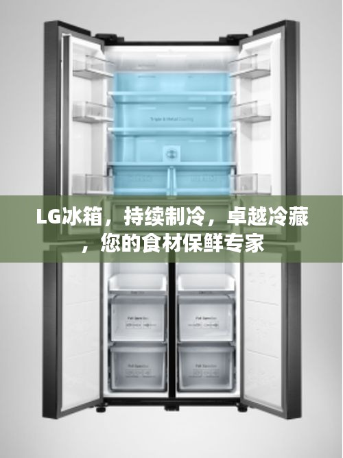 LG冰箱，持续制冷，卓越冷藏，您的食材保鲜专家