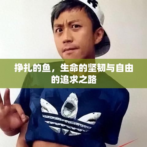 挣扎的鱼，生命的坚韧与自由的追求之路