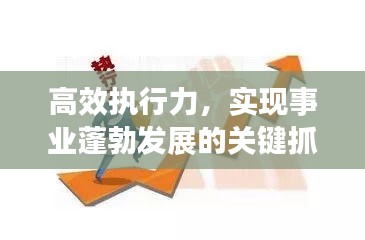 高效执行力，实现事业蓬勃发展的关键抓手