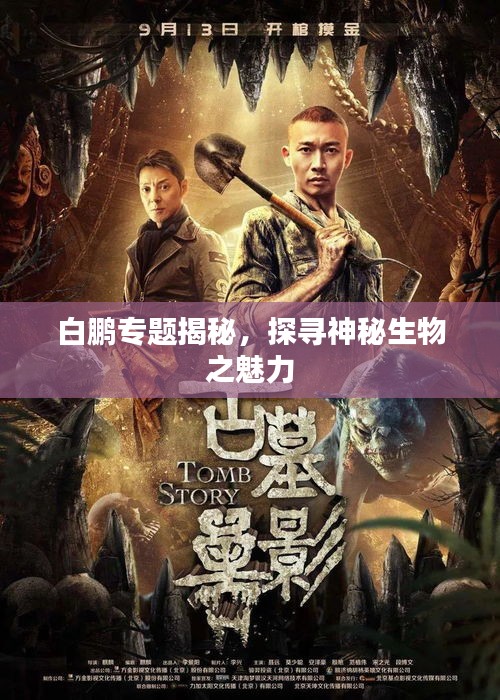 白鹏专题揭秘，探寻神秘生物之魅力