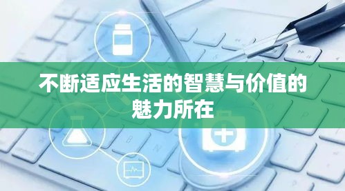 不断适应生活的智慧与价值的魅力所在