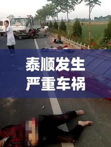 泰顺发生严重车祸事件，最新新闻报道头条