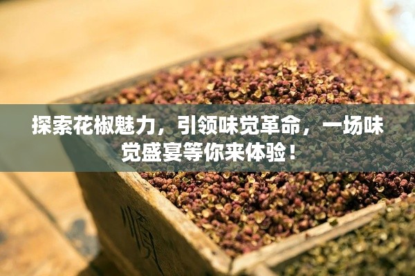 箪瓢陋巷 第2页