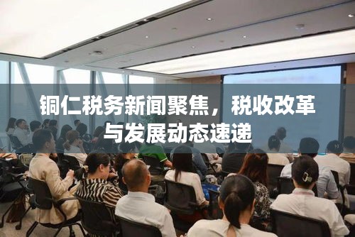 铜仁税务新闻聚焦，税收改革与发展动态速递