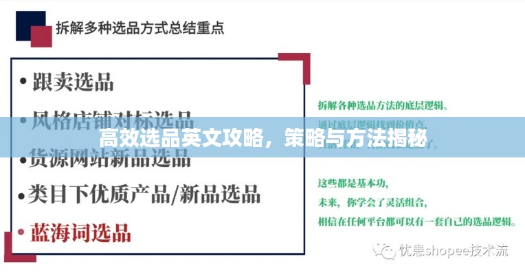 高效选品英文攻略，策略与方法揭秘