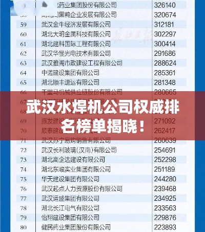 武汉水焊机公司权威排名榜单揭晓！