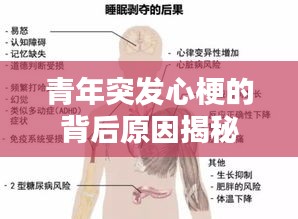 真独简贵 第2页