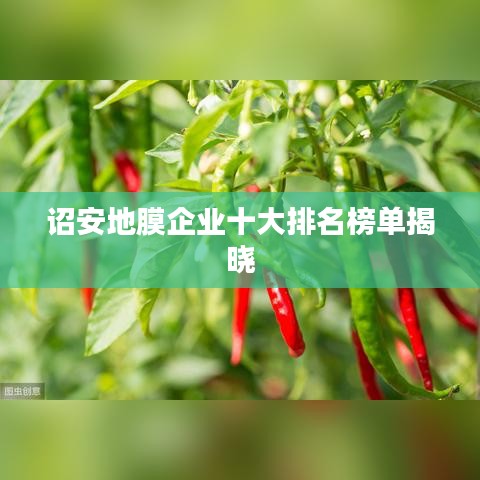 诏安地膜企业十大排名榜单揭晓
