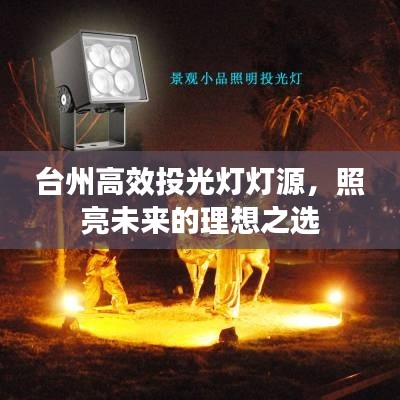 台州高效投光灯灯源，照亮未来的理想之选
