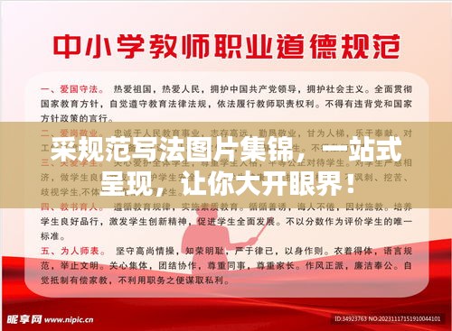 采规范写法图片集锦，一站式呈现，让你大开眼界！