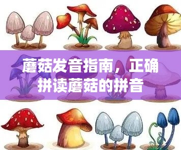 蘑菇发音指南，正确拼读蘑菇的拼音