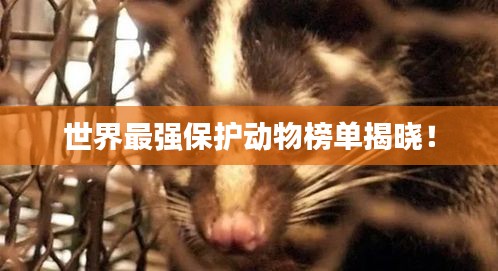 世界最强保护动物榜单揭晓！