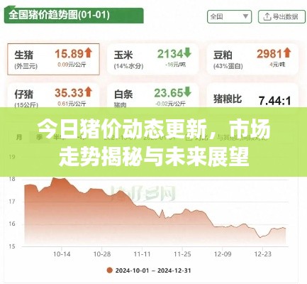 今日猪价动态更新，市场走势揭秘与未来展望