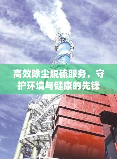 高效除尘脱硫服务，守护环境与健康的先锋行动