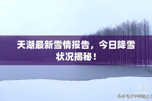 天湖最新雪情报告，今日降雪状况揭秘！