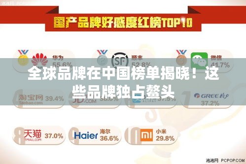全球品牌在中国榜单揭晓！这些品牌独占鳌头
