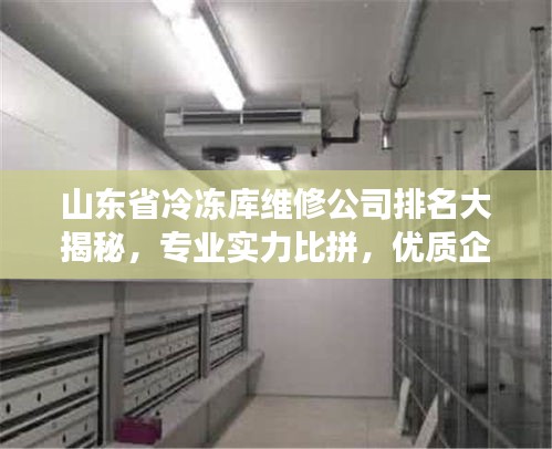 山东省冷冻库维修公司排名大揭秘，专业实力比拼，优质企业榜单揭晓！