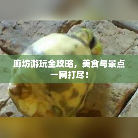 廊坊游玩全攻略，美食与景点一网打尽！