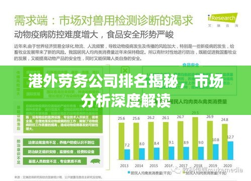 港外劳务公司排名揭秘，市场分析深度解读