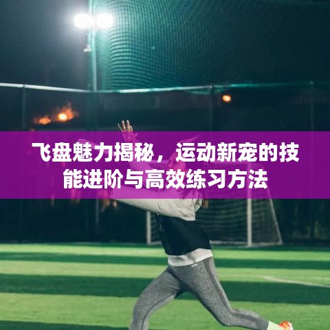 飞盘魅力揭秘，运动新宠的技能进阶与高效练习方法