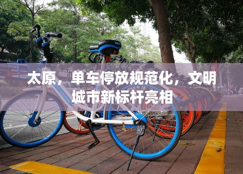 太原，单车停放规范化，文明城市新标杆亮相