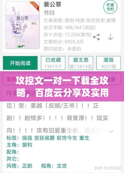 攻控文一对一下载全攻略，百度云分享及实用指南
