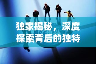 独家揭秘，深度探索背后的独特视角