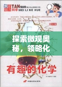 探索微观奥秘，领略化学魅力，化学宣传栏揭秘