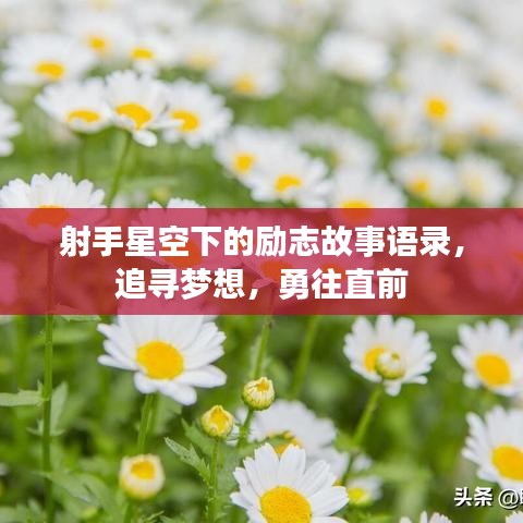 射手星空下的励志故事语录，追寻梦想，勇往直前