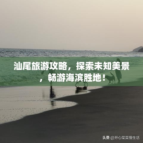 汕尾旅游攻略，探索未知美景，畅游海滨胜地！