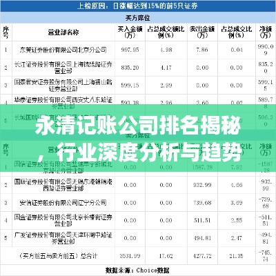 永清记账公司排名揭秘，行业深度分析与趋势解读