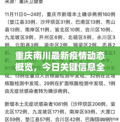 重庆南川最新疫情动态概览，今日关键信息全掌握