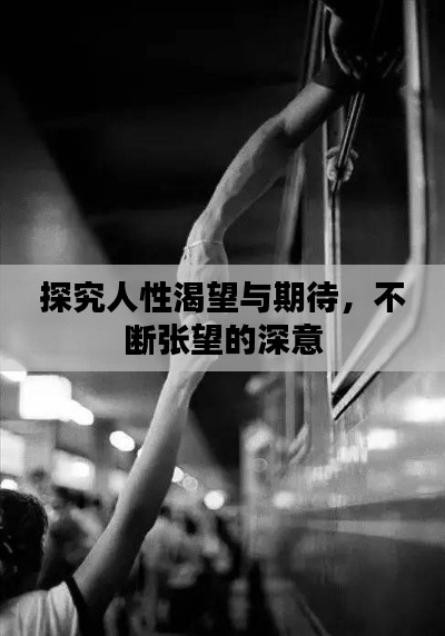 探究人性渴望与期待，不断张望的深意