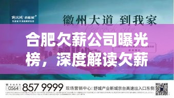 合肥欠薪公司曝光榜，深度解读欠薪现象与应对策略