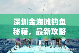 深圳金海滩钓鱼秘籍，最新攻略一网打尽！