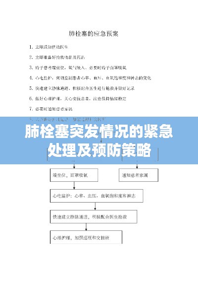 肺栓塞突发情况的紧急处理及预防策略
