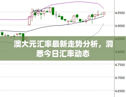 澳大元汇率最新走势分析，洞悉今日汇率动态