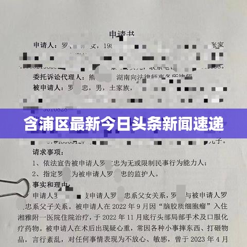 含浦区最新今日头条新闻速递