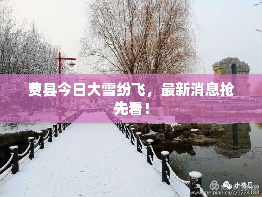 费县今日大雪纷飞，最新消息抢先看！