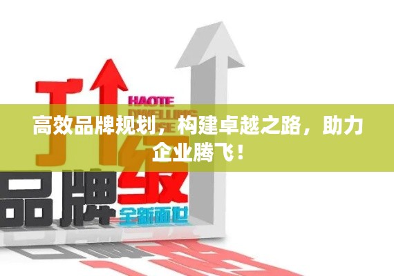 高效品牌规划，构建卓越之路，助力企业腾飞！