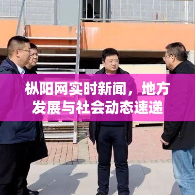 枞阳网实时新闻，地方发展与社会动态速递