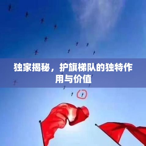 独家揭秘，护旗梯队的独特作用与价值
